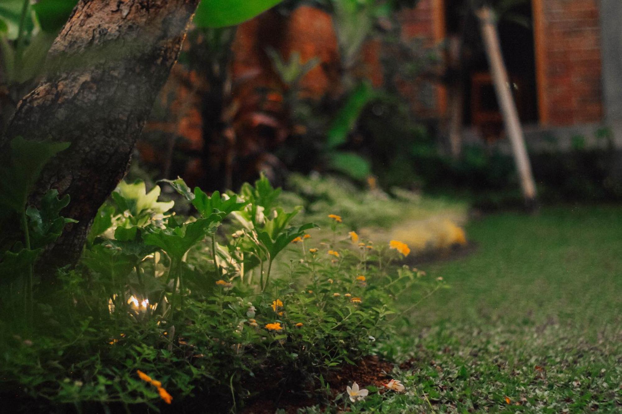 The Govardhan Homestay チャングー エクステリア 写真